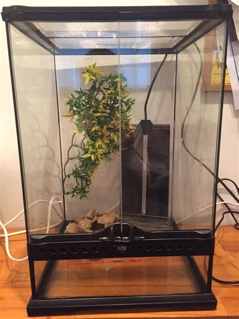 Glass Exo Terra Terrarium, heater, rock home & plastic plant | in Plymouth, Devon | Gumtree