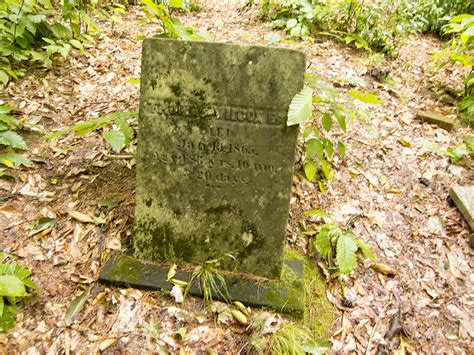 North American Cemeteries: Historic Cemetery No. 101 Exeter, Rhode Island