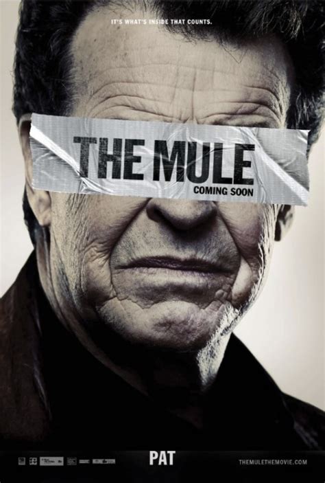 The Mule DVD Release Date | Redbox, Netflix, iTunes, Amazon