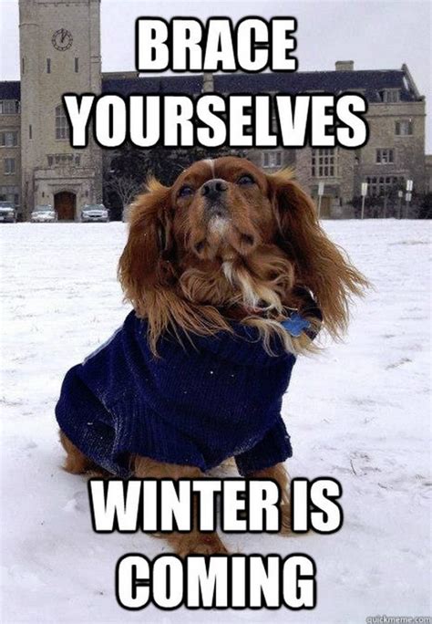 55 Funny Winter Memes That Are Relatable If You Live in the North