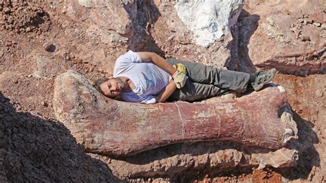 What is a Paleontologist? | Paleontology World