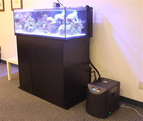 Best Aquarium Water Chiller in 2023 (REVIEWS)