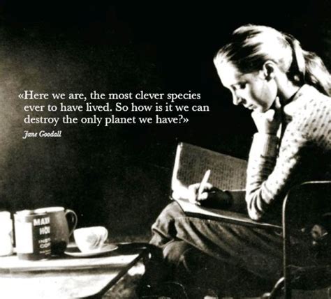 Jane Goodall Quotes. QuotesGram