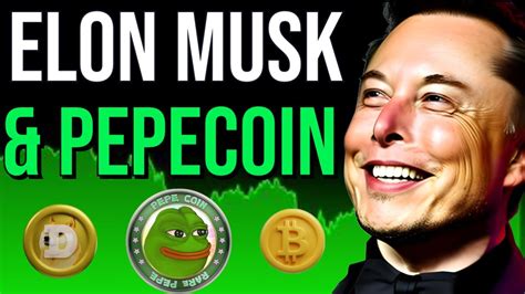 ELON MUSK & PEPECOIN 🚨 DOGECOIN, PEPE COIN & CRYPTO CURRENCY PRICE ...