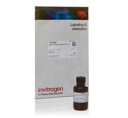 Qubit™ 1X dsDNA High Sensitivity (HS) and Broad Range (BR) Assay Kits