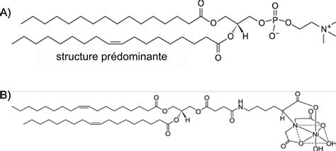 10-A) Structure prédominante de L-α-phosphatidylcholine (Egg PC). B)... | Download Scientific ...