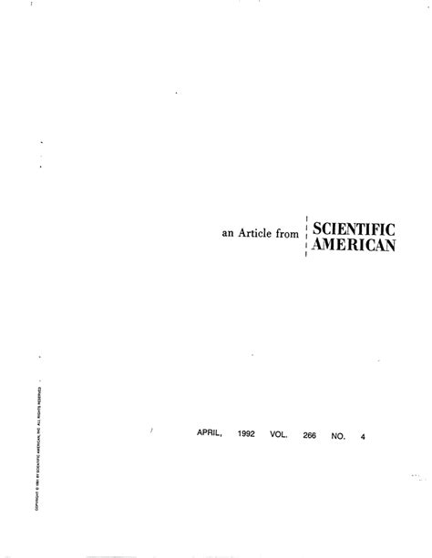 (PDF) The Multiregional Evolution of Humans