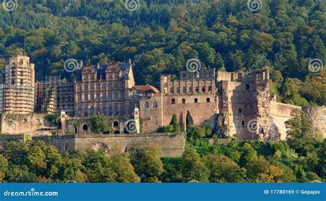 Heidelberg Castle Gardens Royalty-Free Stock Photo | CartoonDealer.com #43131897