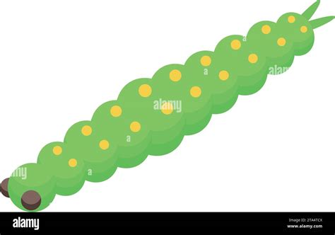 Silkworm cocoon Cut Out Stock Images & Pictures - Alamy