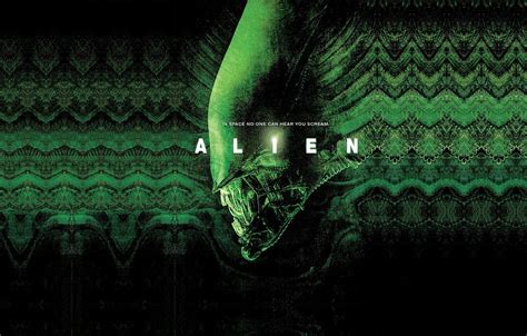 Alien 1979 Wallpapers - Top Free Alien 1979 Backgrounds - WallpaperAccess