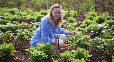 Organic Farming: Types, Benefits & Importance | Fazlani Nature Nest