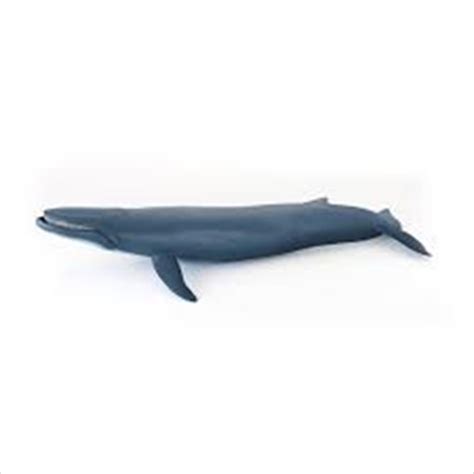 Buy Papo - Blue whale Figurine Online | Sanity