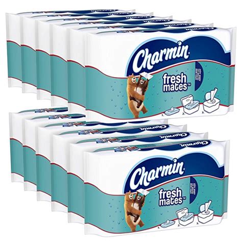 Amazon: Charmin Freshmates Flushable Wet Wipes, 40 Count (Pack of 12 ...