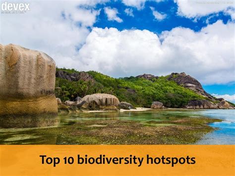 Top 10 biodiversity hotspots