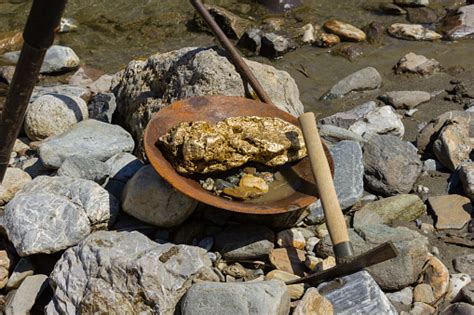 Gold Nugget Mining From The River Stock Photo - Download Image Now - iStock