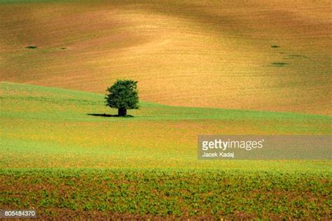 Moravian Landscape Photos and Premium High Res Pictures - Getty Images