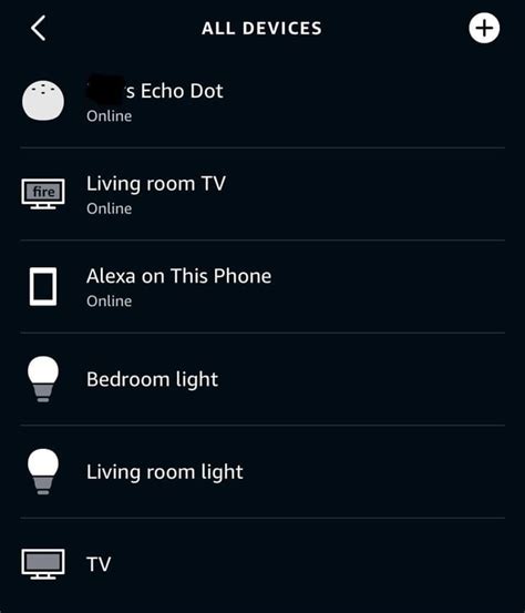 New Fire TV stick - is it supposed to show up twice in Alexa App ...