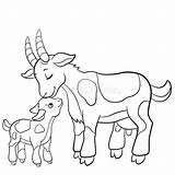 Cute Goat Coloring Pages sketch template