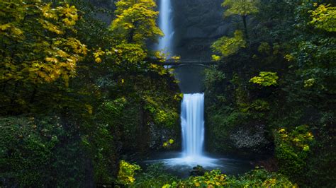 Waterfall Forest 4K Wallpapers | HD Wallpapers | ID #29814