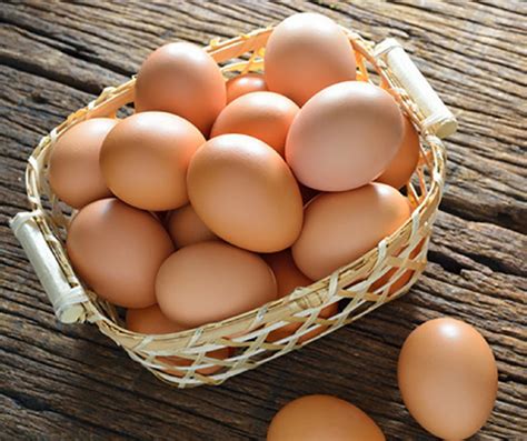 Farm Fresh Eggs – Clearwater Farm