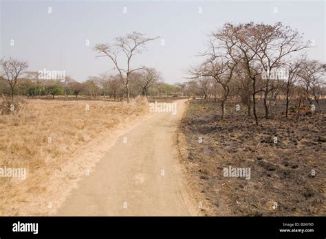 Dirt road Zambia Africa Stock Photo - Alamy