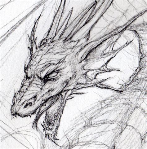 Medieval Dragon Sketch at PaintingValley.com | Explore collection of Medieval Dragon Sketch