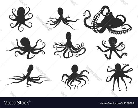 Octopus silhouette octopus octopus svg Royalty Free Vector