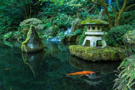 Portland Japanese Garden | (2024) ULTIMATE Guide with Tips