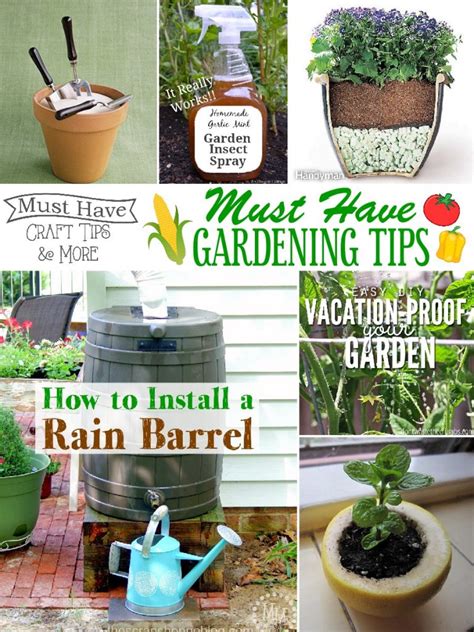 Gardening Tips and Tricks