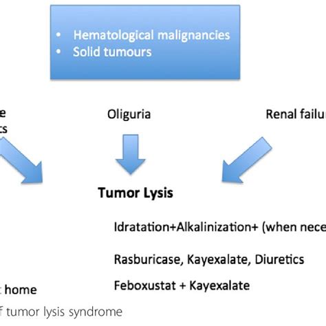 Cause, prevention, and treatment of tumor lysis syndrome | Download Scientific Diagram