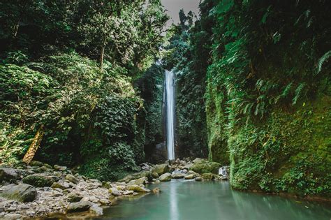 Waterfalls Near GreeN Leafed Trees · Free Stock Photo