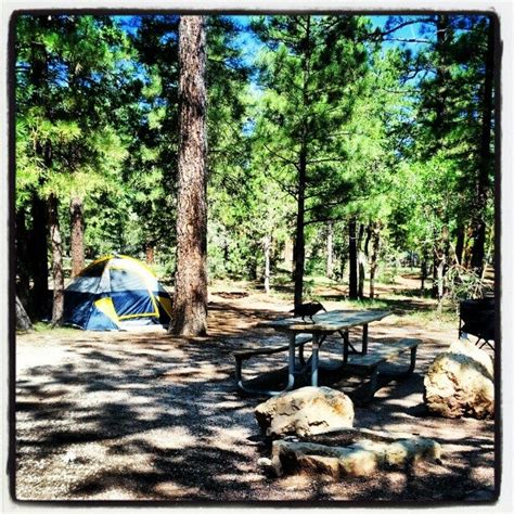 Grand Canyon Mather Campground, Grand Canyon, AZ, Campgrounds - MapQuest