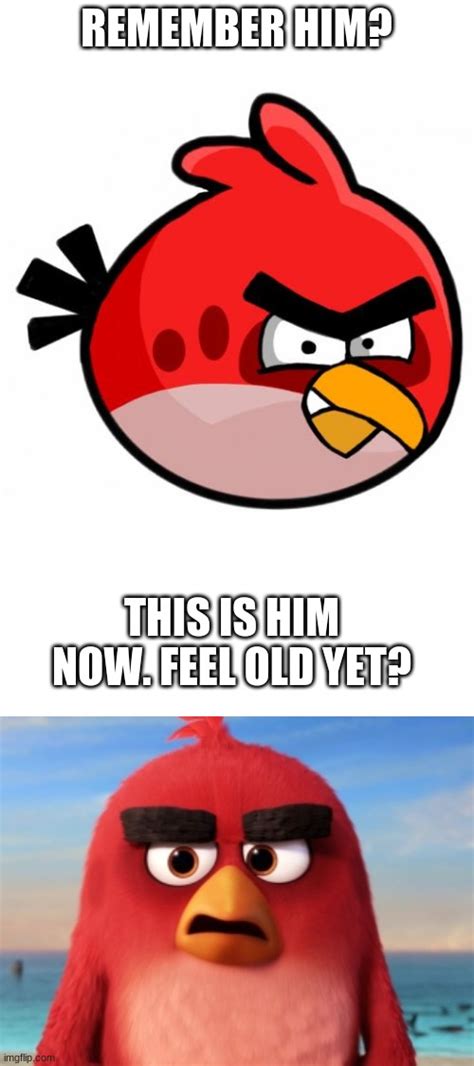 Angry_birds Memes & GIFs - Imgflip