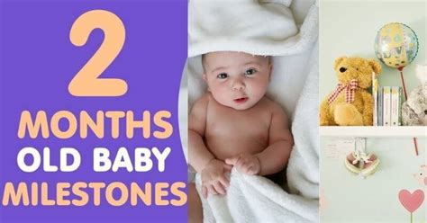 A Complete Guide For Two Month Old Baby Development And Milestones