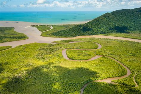 Plan to save Great Barrier Reef from encroaching farm pollution | New Scientist