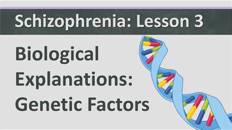 Schizophrenia: Lesson 3 - Biological Explanation - Genetic Factors ...