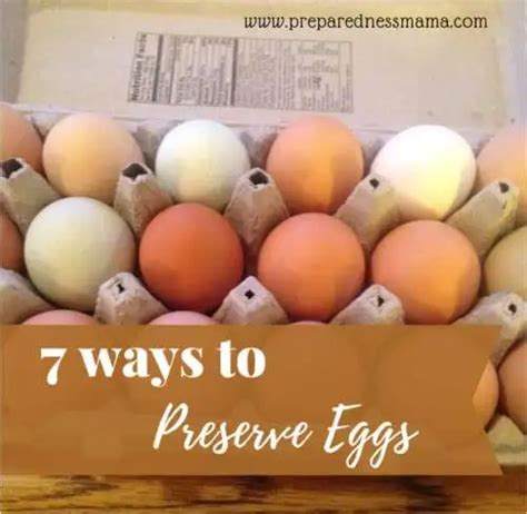 7 Clever and Easy Ways to Preserve Eggs | PreparednessMama