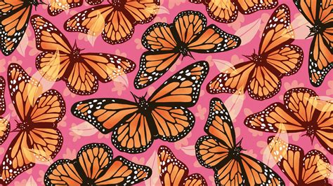 Monarch Butterflies Wallpapers - Top Free Monarch Butterflies Backgrounds - WallpaperAccess