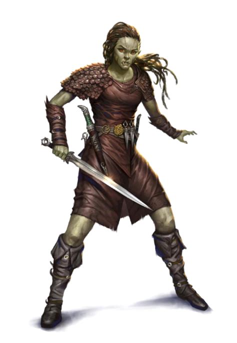 Female Half-Orc Rogue Fighter - Pathfinder PFRPG DND D&D 3.5 5th ed d20 ...