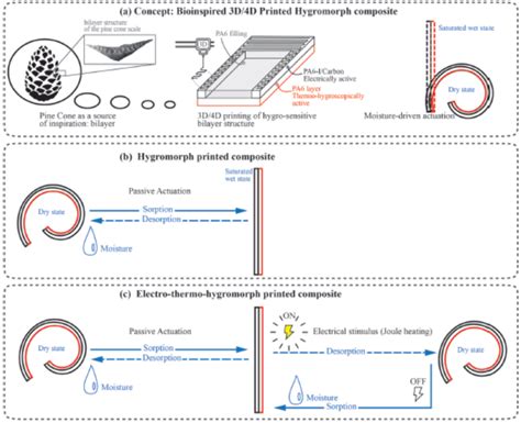 Research description - Bionics Group