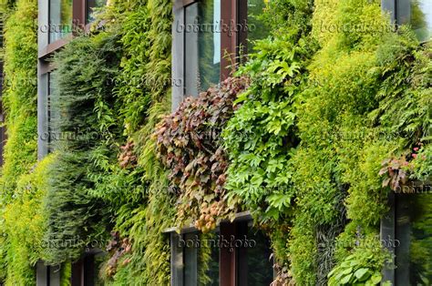 Image Vertical garden, Musée du quai Branly, Paris, France - 521406 - Images of Plants and ...