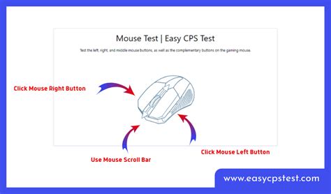 Mouse Test | Test Your Mouse Keys -EasyCPSTest