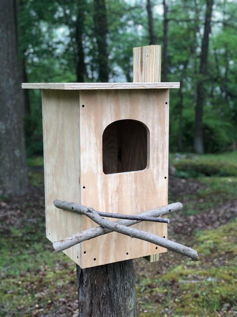 Pine Barred Owl Nest Box Custom Options Available - Etsy