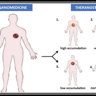 The table below represents different nanoparticles being used in cancer ...