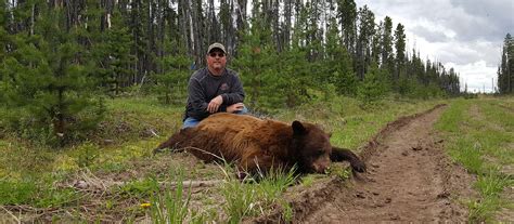 Black Bear Hunting BC - Batnuni Lake Guides and Outfitters