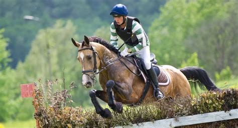 9 Best Horse Breeds for Eventing (For All Levels)