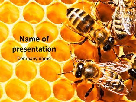 Bee Powerpoint Template