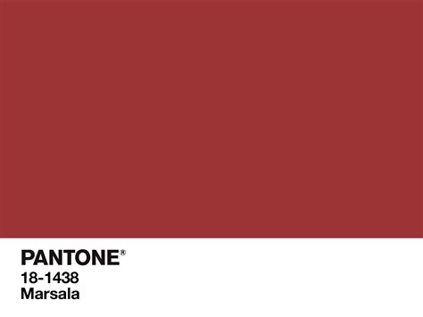 pantone 18-1438 marsala color of the year – large chip | Munsell Color ...