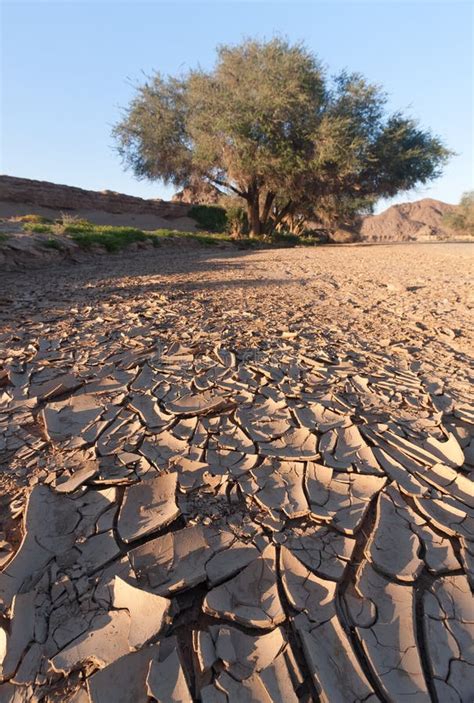 Dried-up River Bed stock image. Image of river, rain - 22625033