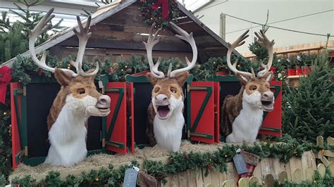 Singing Reindeer at Redfields Garden Centre - YouTube